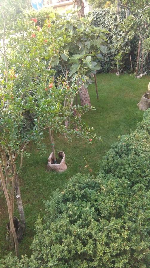Apartman Bokula Novi Vinodolski Buitenkant foto